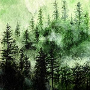 Emerald Silence